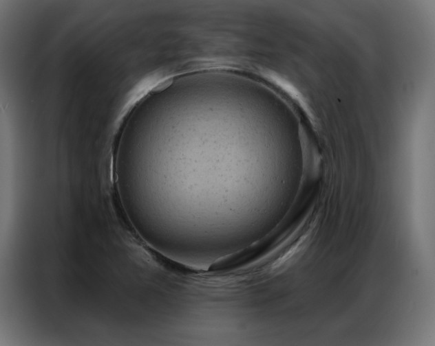 X0000087001365200704161516
