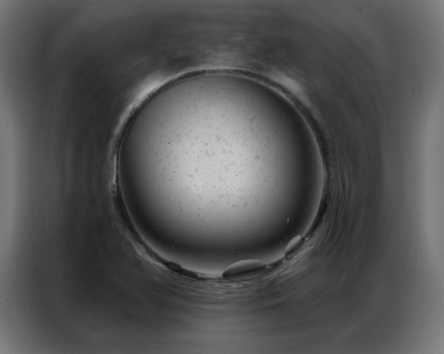 X0000087001366200704161516