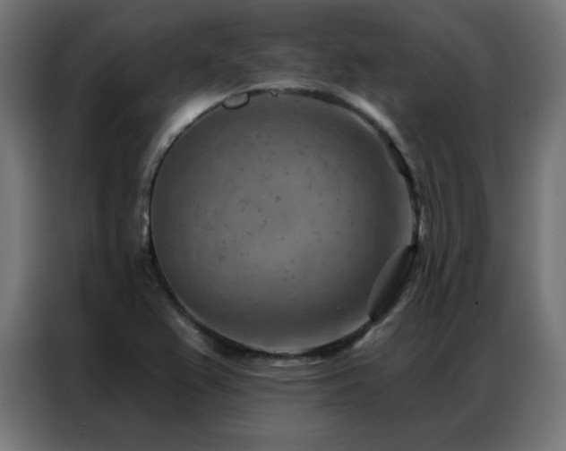 X0000087001367200704161516