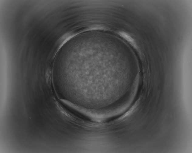 X0000087001369200704161516