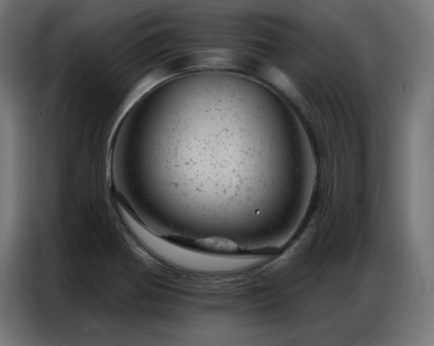X0000087001370200704161516