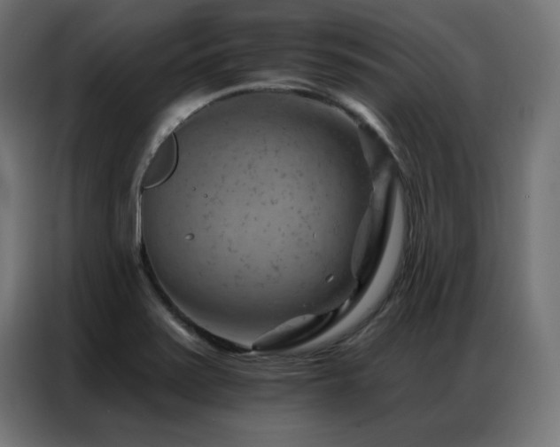 X0000087001371200704161516