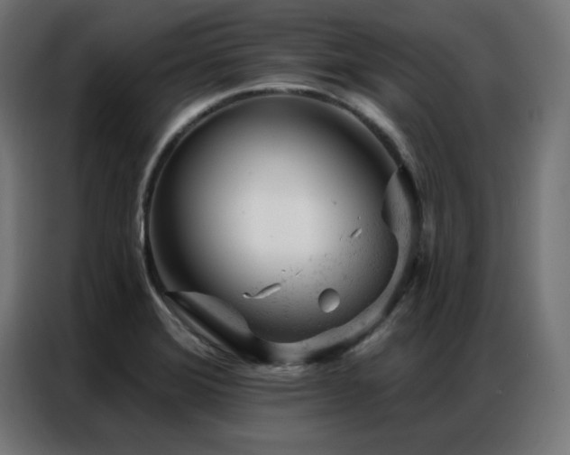 X0000087001372200704161516