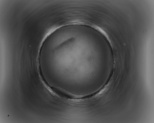 X0000087001373200704161516