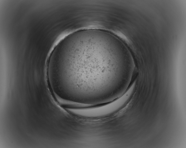 X0000087001374200704161516