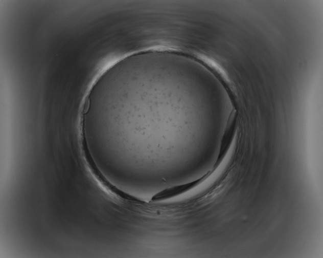 X0000087001375200704161516