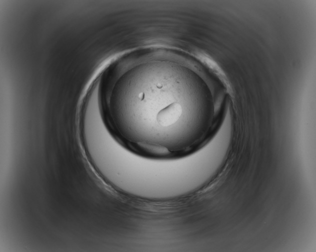 X0000087001376200704161516