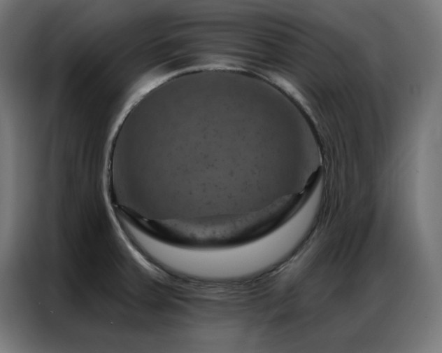 X0000087001379200704161516