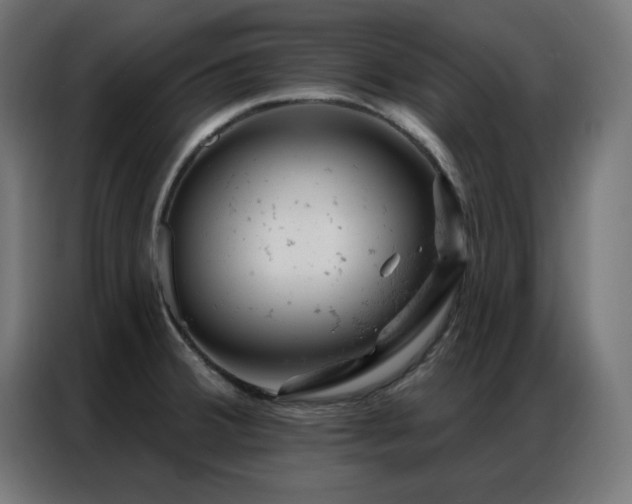 X0000087001380200704161516
