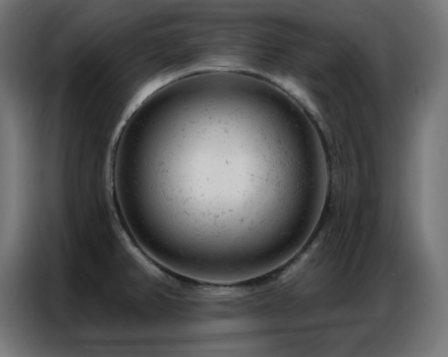X0000087001382200704161516