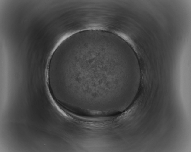 X0000087001383200704161516