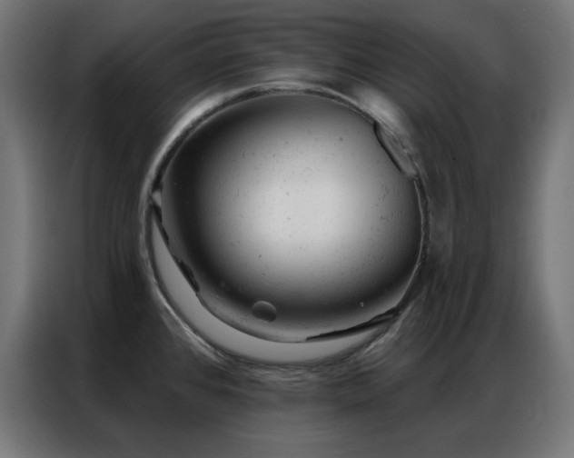 X0000087001384200704161516