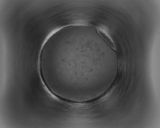 X0000087001387200704161516
