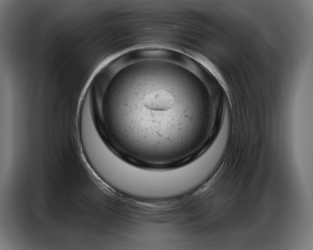 X0000087001388200704161516