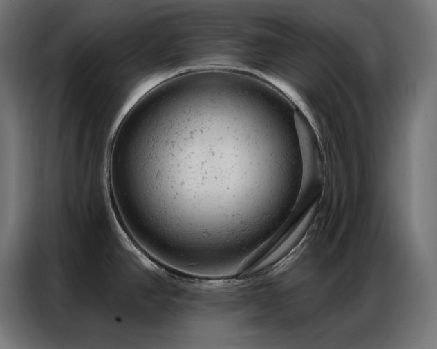 X0000087001390200704161516