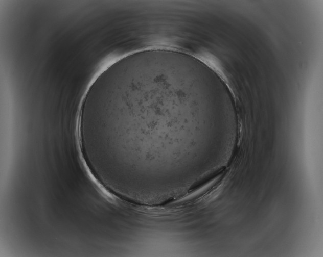 X0000087001391200704161516