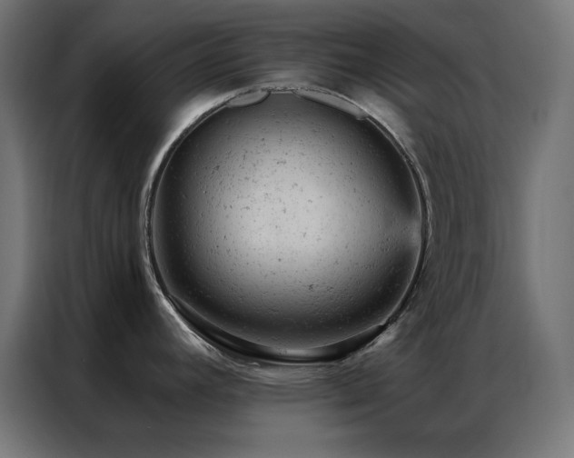 X0000087001392200704161516
