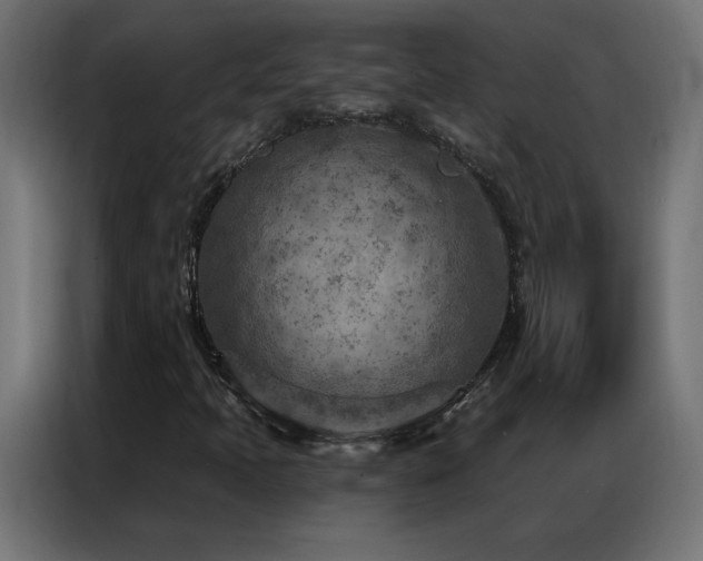 X0000087001397200704161515
