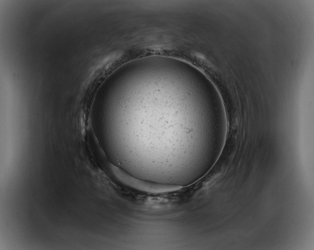 X0000087001398200704161515