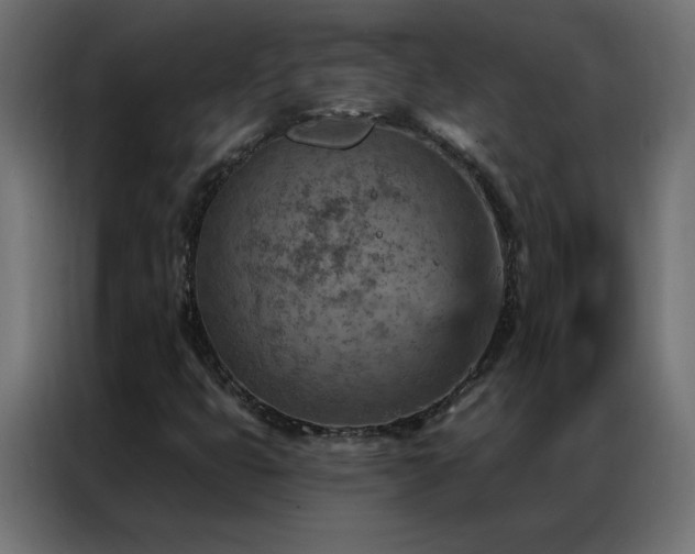 X0000087001399200704161515