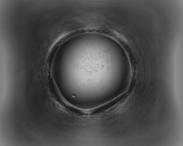 X0000087001400200704161515