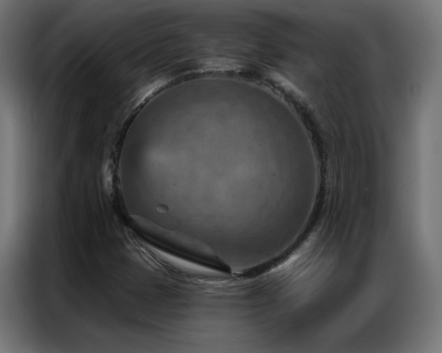 X0000087001401200704161515