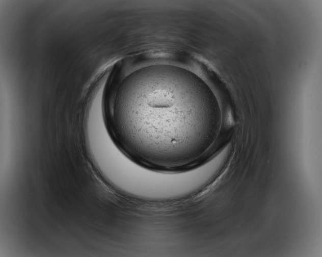 X0000087001402200704161515