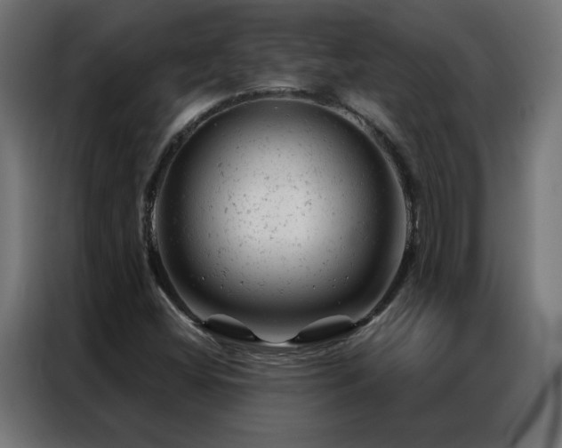 X0000087001404200704161515