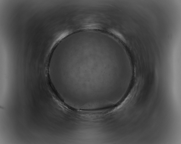 X0000087001405200704161515