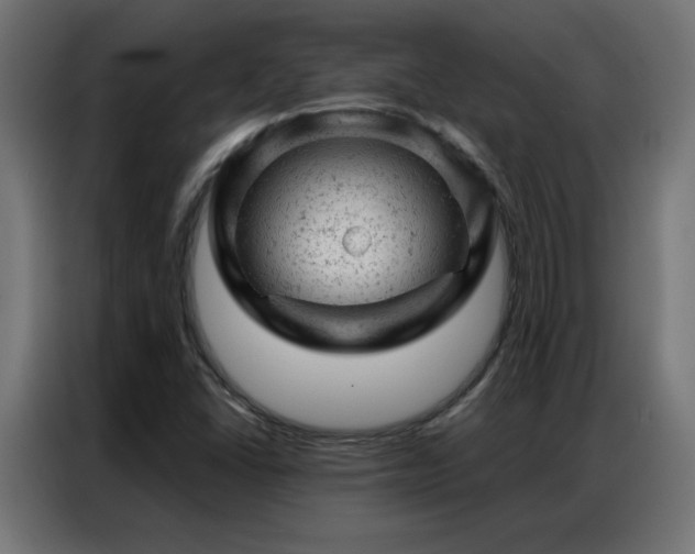 X0000087001406200704161515