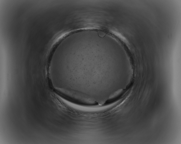 X0000087001407200704161515