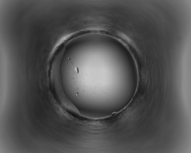 X0000087001408200704161515