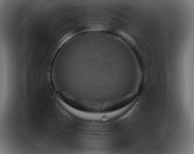 X0000087001409200704161515