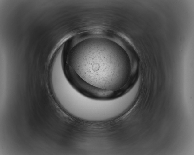 X0000087001410200704161515