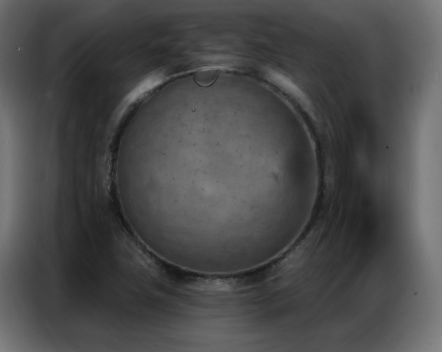 X0000087001411200704161515