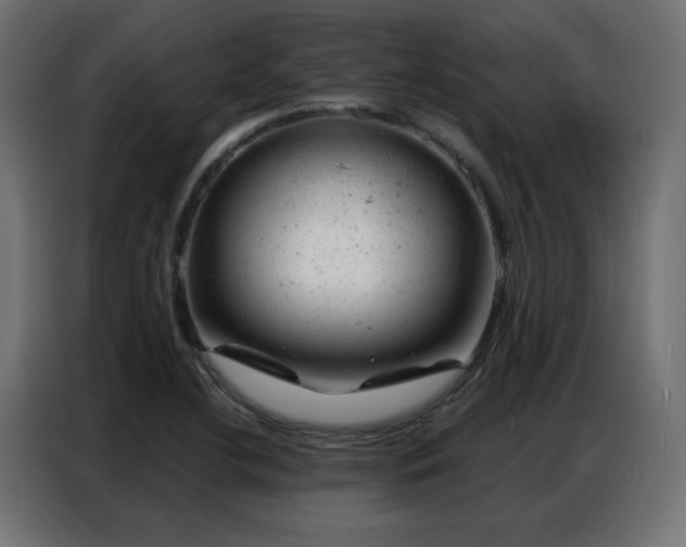 X0000087001412200704161515