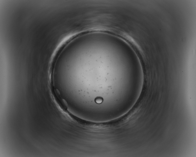 X0000087001416200704161516