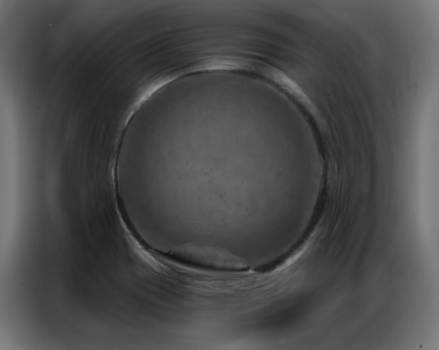 X0000087001417200704161516