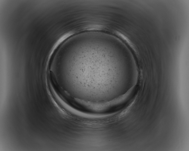 X0000087001418200704161516