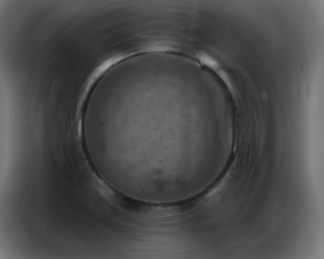 X0000087001419200704161516