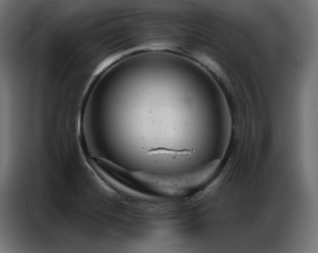 X0000087001420200704161516