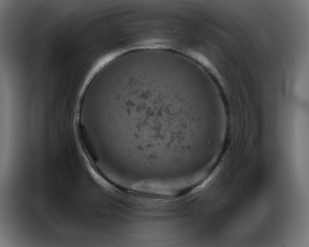 X0000087001421200704161516