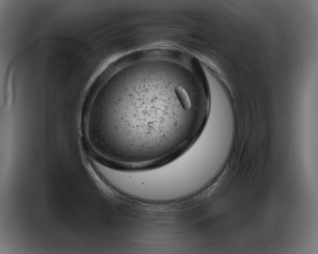 X0000087001422200704161516
