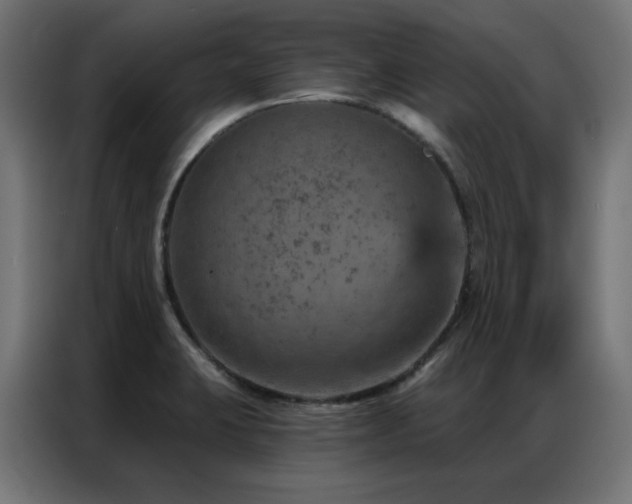 X0000087001423200704161516