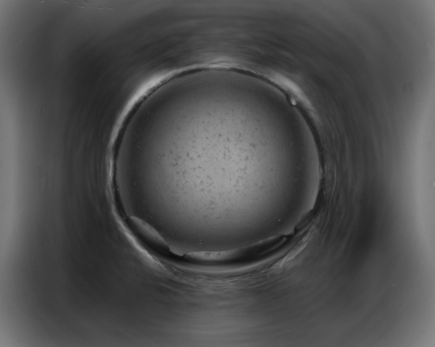 X0000087001424200704161516