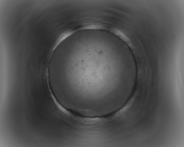 X0000087001425200704161516