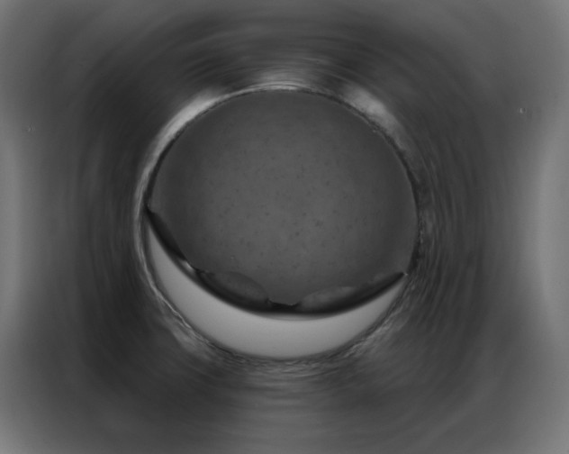 X0000087001427200704161516