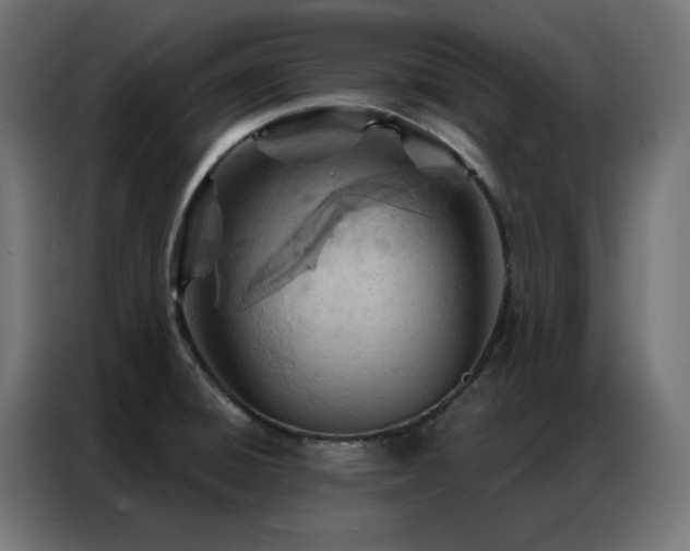 X0000087001428200704161516