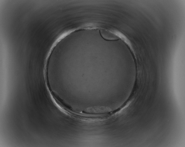 X0000087001429200704161516
