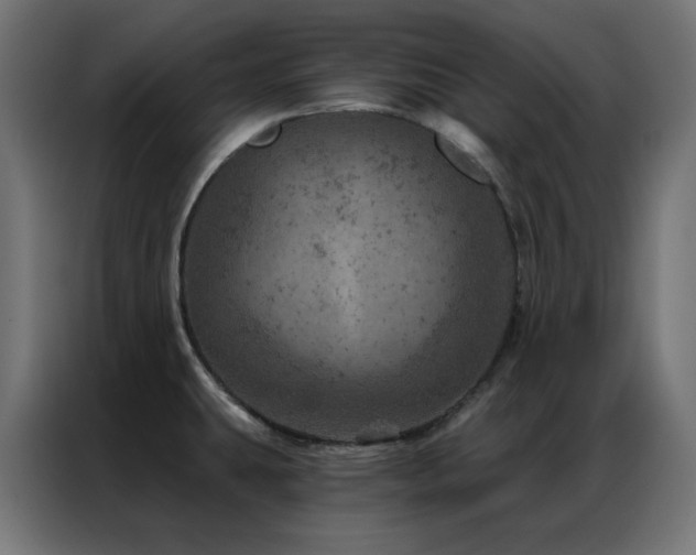 X0000087001431200704161516